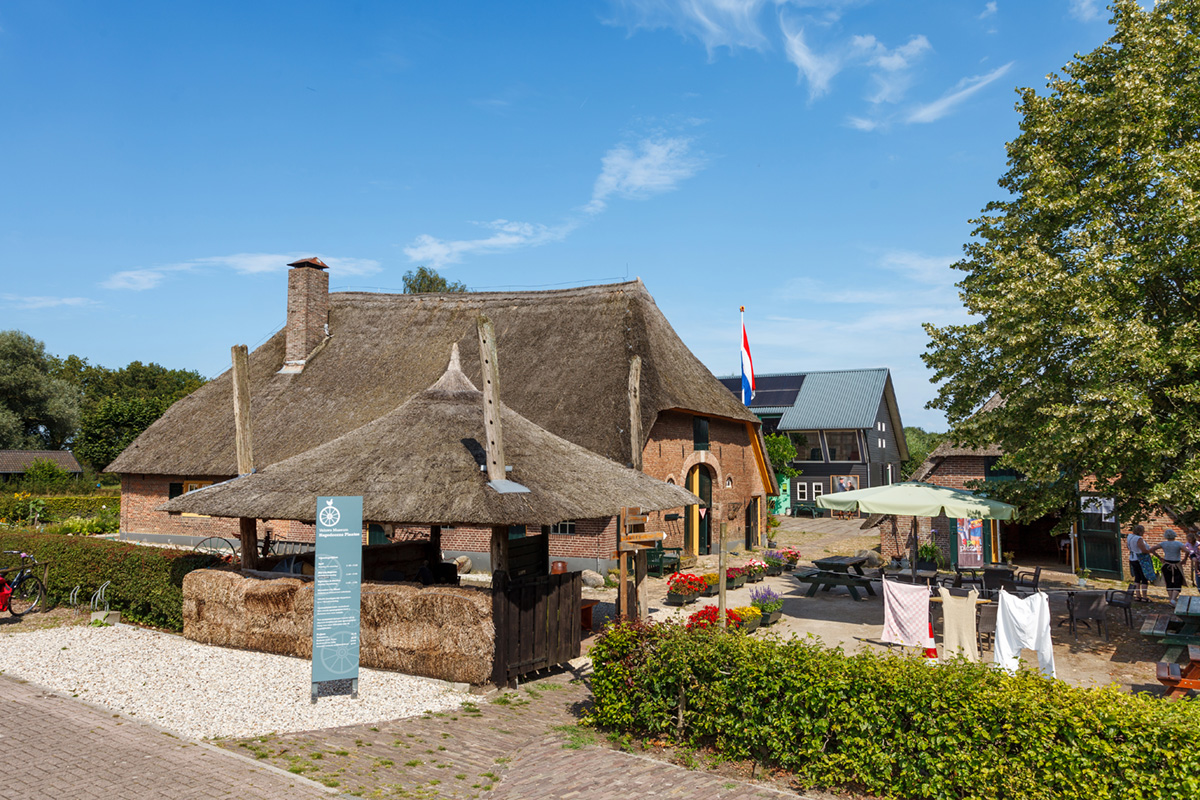 hagedoorns plaatse